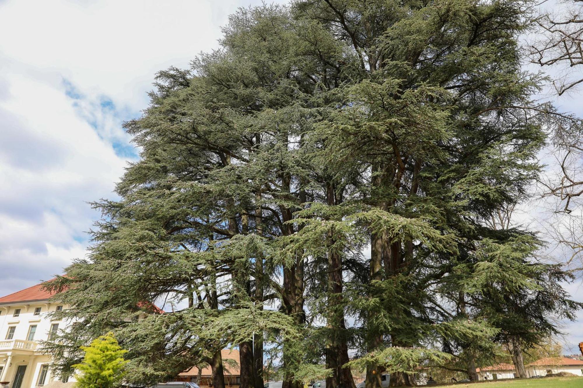Sequoias Golf & Ressort Ruy-Montceau Exterior foto